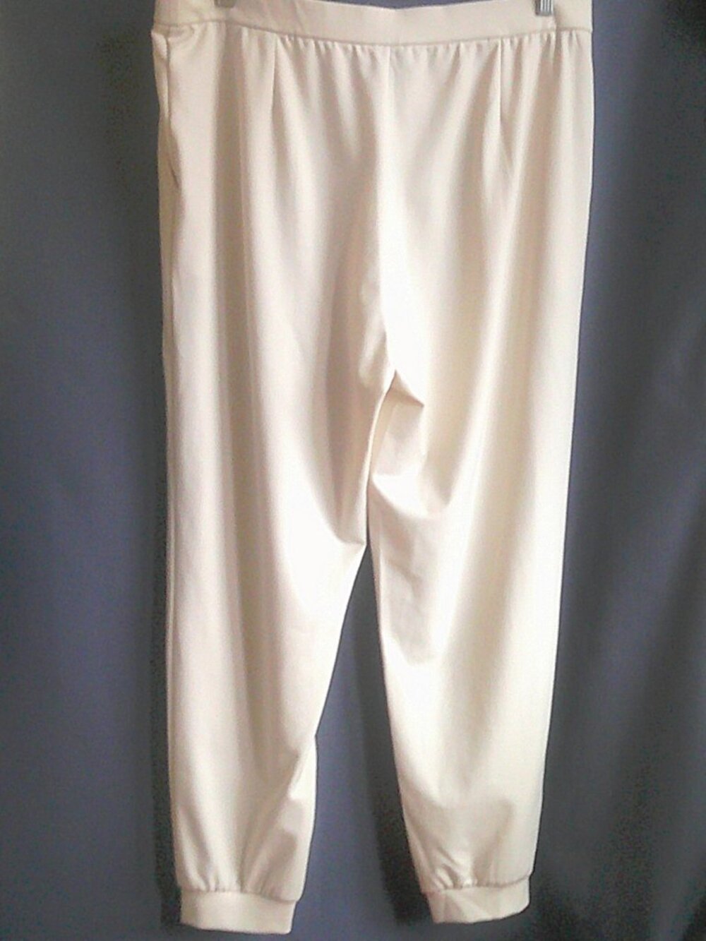 Eileen Fisher NWT Almond Ivory Lightweight Ponte Jogger Pant Easy Fit Ankle XL - Picture 4 of 6